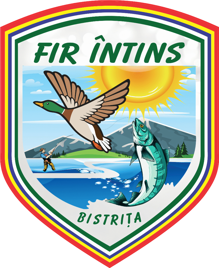 Fir Intins Bistrita